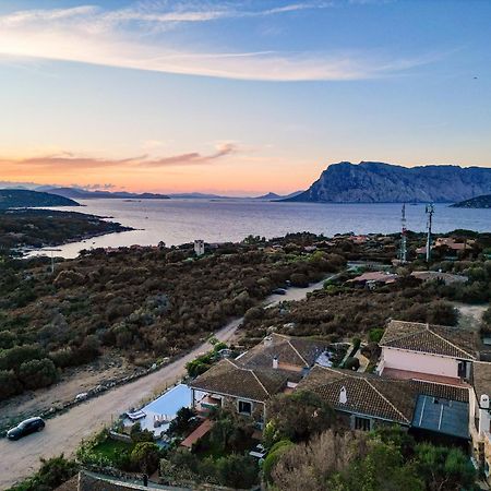 Villa Capo Coda Cavallo Piscina Privata San Teodoro  Exteriér fotografie